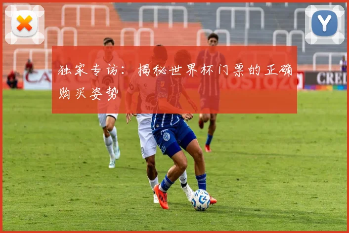 独家专访：揭秘世界杯门票的正确购买姿势