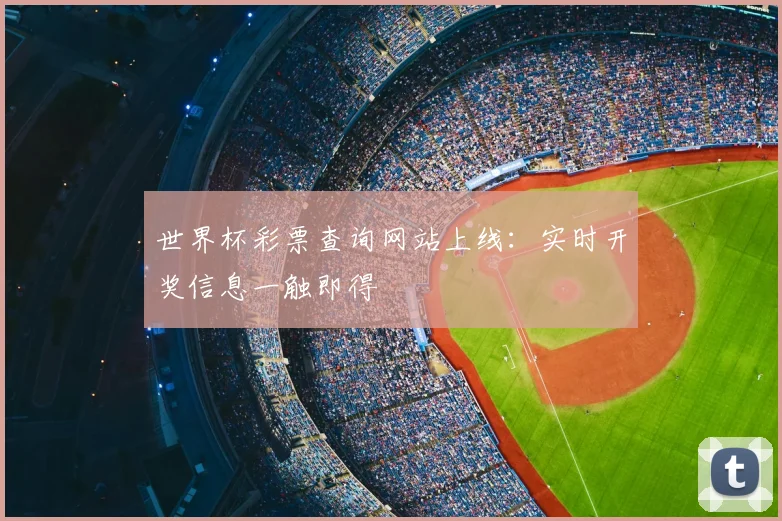 世界杯彩票查询网站上线：实时开奖信息一触即得