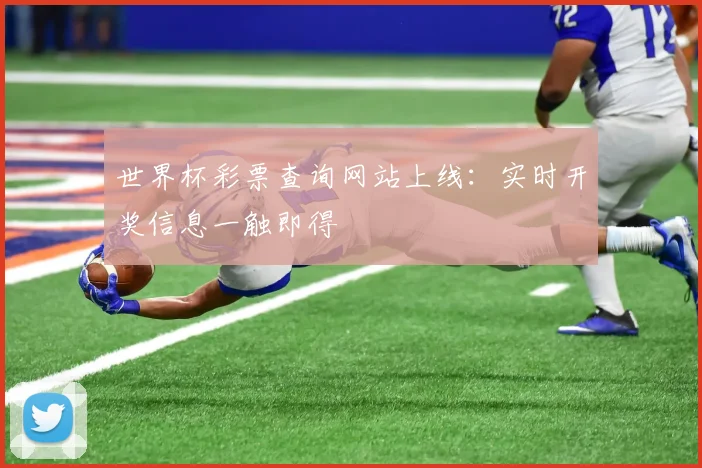 世界杯彩票查询网站上线：实时开奖信息一触即得