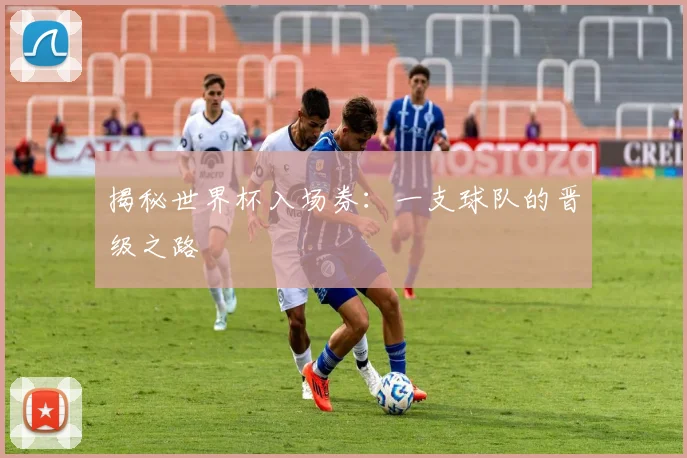 揭秘世界杯入场券：一支球队的晋级之路