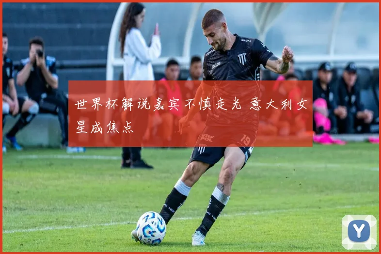 世界杯解说嘉宾不慎走光 意大利女星成焦点