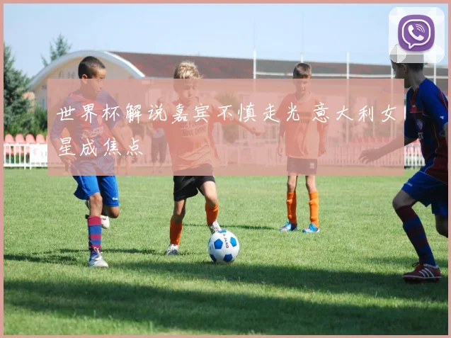世界杯解说嘉宾不慎走光 意大利女星成焦点