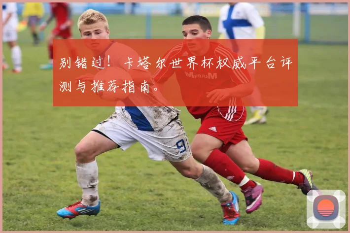 别错过！卡塔尔世界杯权威平台评测与推荐指南。