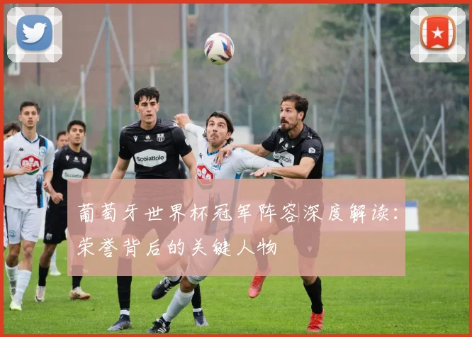 葡萄牙世界杯冠军阵容深度解读：荣誉背后的关键人物