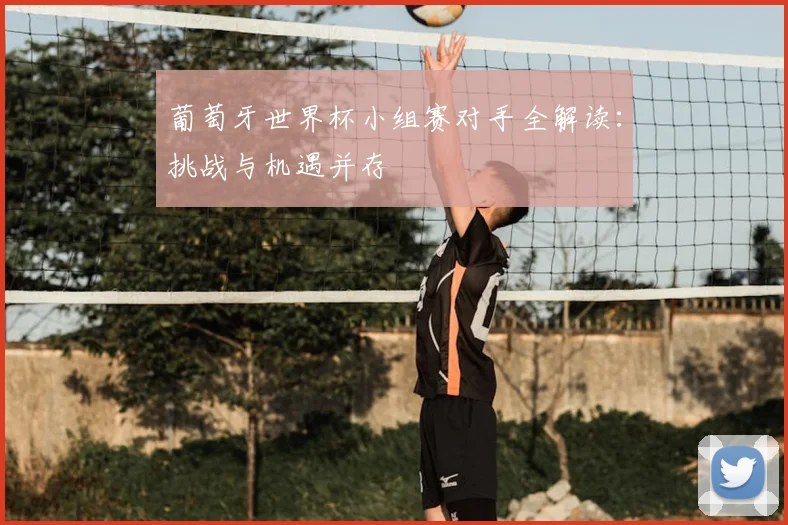 葡萄牙世界杯小组赛对手全解读：挑战与机遇并存