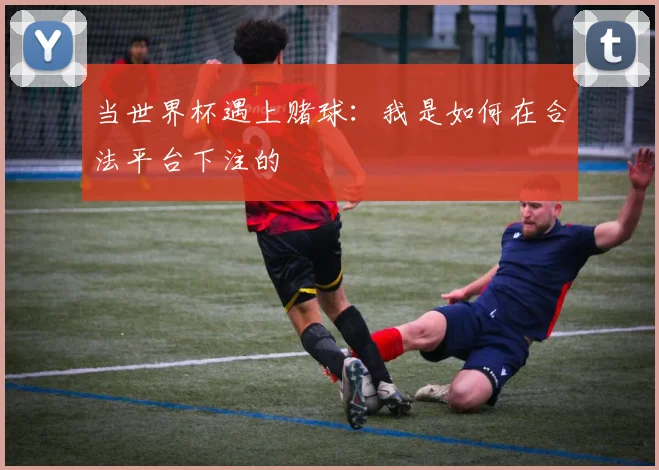 当世界杯遇上赌球：我是如何在合法平台下注的